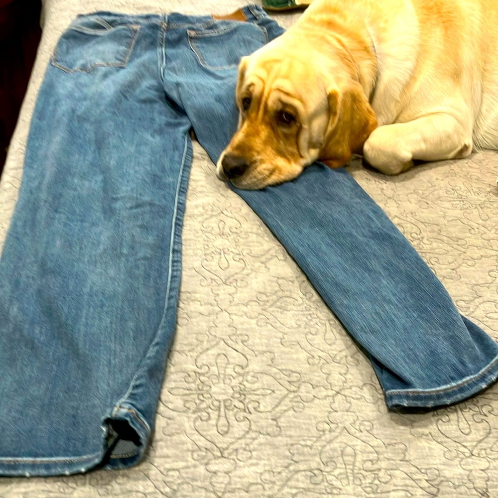 Judy Blue Denim Straight Leg Jeans 
 These are actually size 7 /30